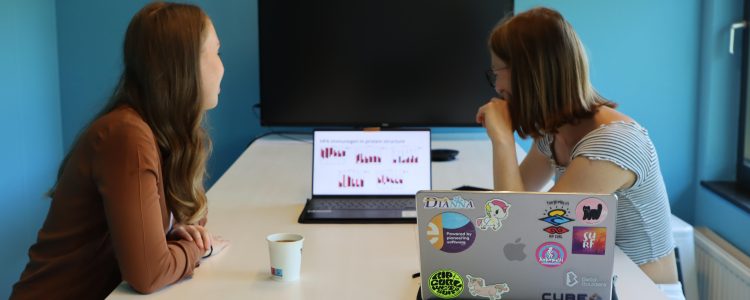 The eScience Center Fellowship Programme: information session